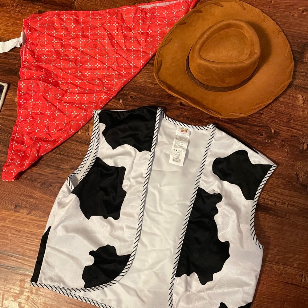 Adult mens Toy Story Woody costume